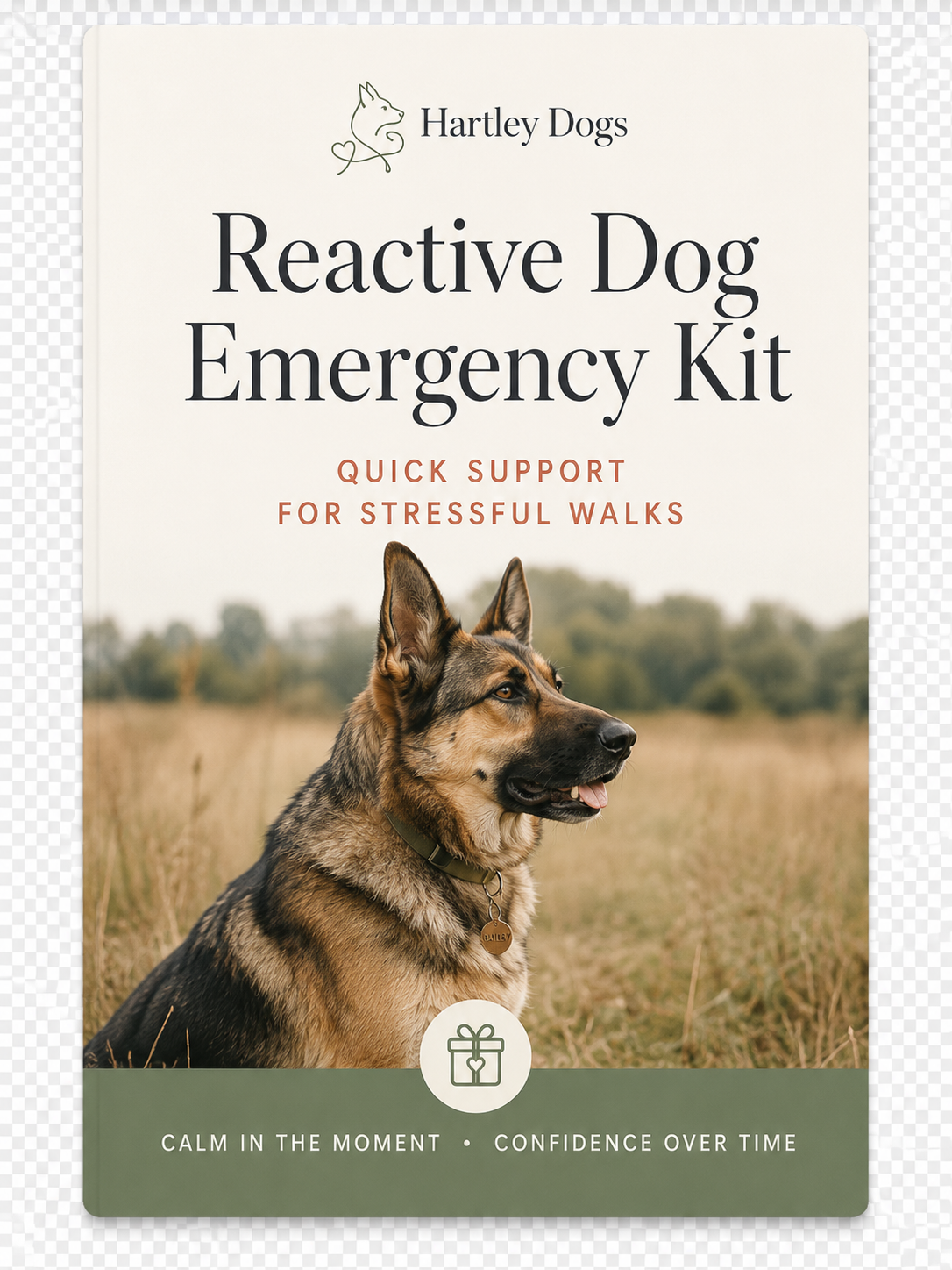 Reactive Dog Emergency Kit PDF guide cover